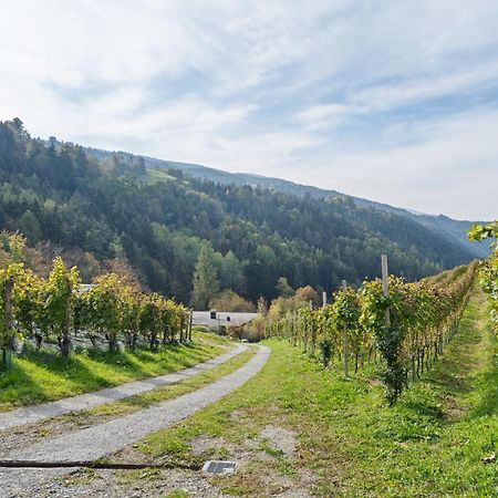 Villa Vogelnest 布列瑟农 外观 照片